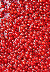 Image showing Fresh red currant berries in water - background