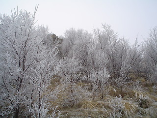 Image showing cold day