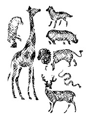 Image showing wild animals