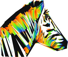 Image showing color zebra head 