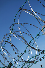 Image showing barbed wire background