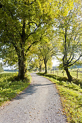 Image showing autumn scenery