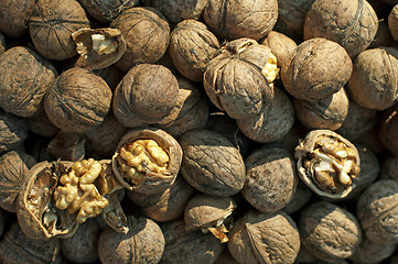 Image showing Walnuts in shell