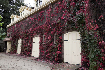 Image showing Stable Doors