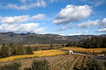 Image showing Wine Country