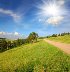 Image showing summer landscape with road