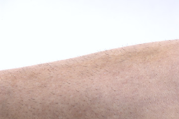 Image showing Unshaved Leg Hair 2