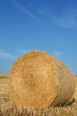 Image showing hay bale