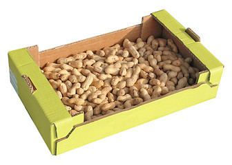 Image showing Peanuts picture