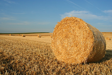 Image showing hay bale