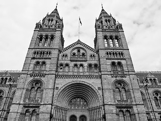 Image showing Natural History Museum, London, UK