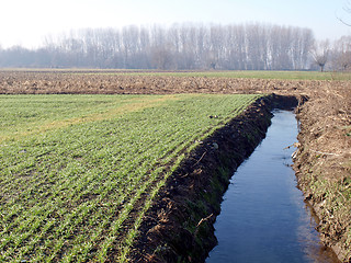 Image showing Field picture