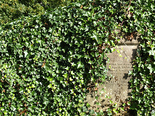 Image showing Glasgow cemetery