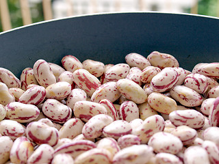 Image showing Beans salad