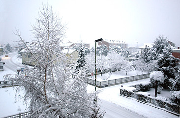 Image showing Snow picture