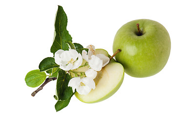 Image showing green apple and blossoming branch 