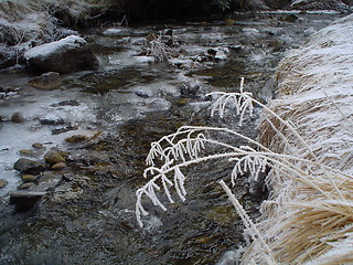 Image showing drink water