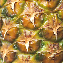 Image showing Pineapple picture