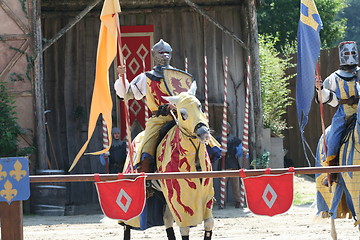 Image showing Knight