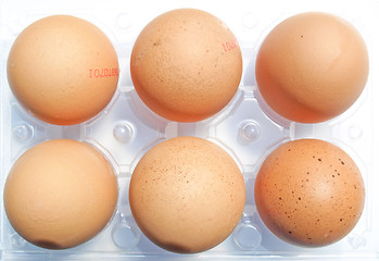 Image showing Eggs picture