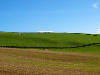 Image showing Cardross hill