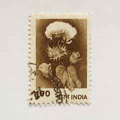 Image showing Indian stamp