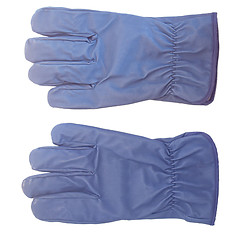 Image showing Gloves picture