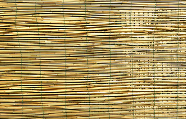 Image showing Bamboo background