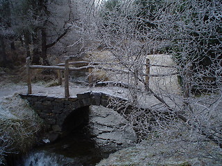 Image showing louded bridge in forest