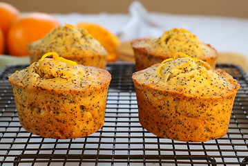 Image showing Orange And Poppyseed Cakes