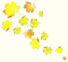 Image showing            Greeting card with maple leaves.