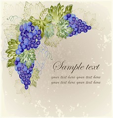 Image showing Illustration grapevine. Vintage background with grape branch . 