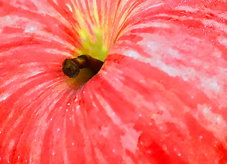 Image showing close up of red apple