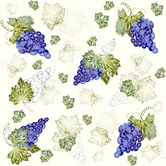 Image showing Illustration grapevine.Seamless background. 