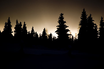 Image showing Winter Twilight