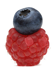 Image showing Forest fruits