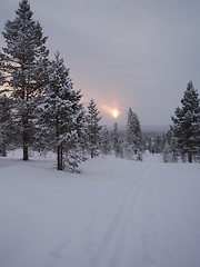 Image showing Low sun on snowy landscape, Rørosvidda, Norway