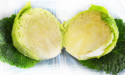 Image showing Savoy cabbage