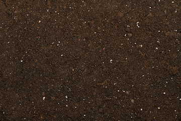 Image showing peat soil 