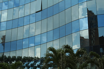 Image showing Palm tree reflections