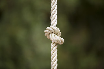 Image showing Rope knot