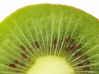 Image showing Kiwi