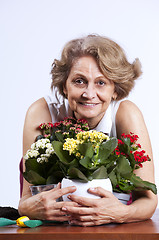 Image showing Senior woman planting flowers