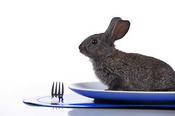 Image showing Rabbit in a plate