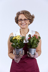 Image showing Senior woman planting flowers