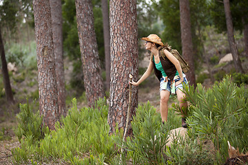 Image showing Woman hiking at the forest
