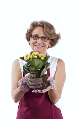 Image showing Senior woman planting flowers