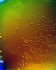 Image showing bubbles