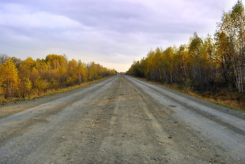 Image showing Autumn road