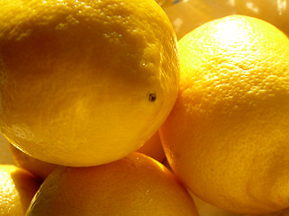 Image showing Lemons